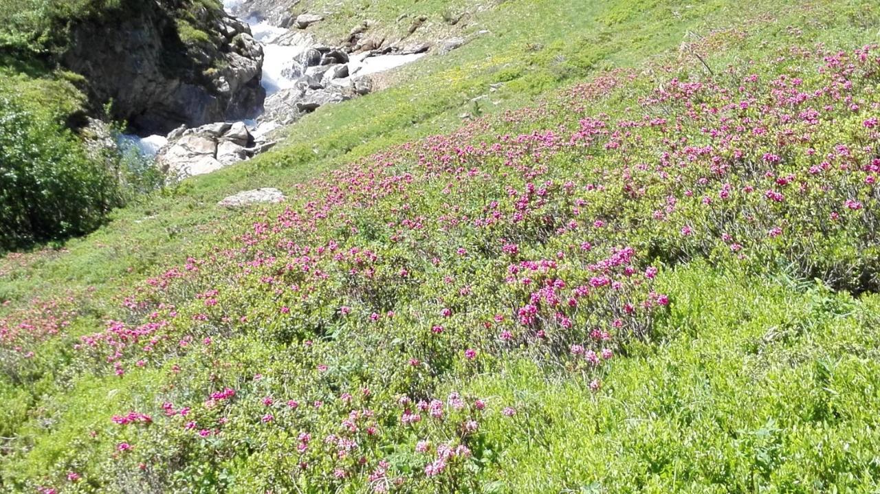 Appartement Ewald Siller Neustift im Stubaital Exterior foto